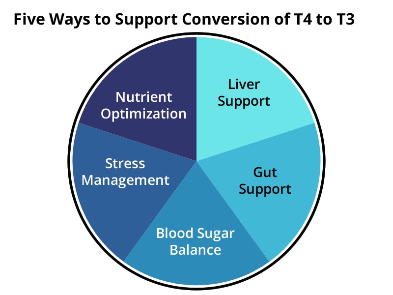 Pie chart with five sections and text: Five Ways to Support Conversion of T4 to T3: Liver Support, Gut Support, Nutrient Optimization, Stress Management, Blood Sugar Balance.