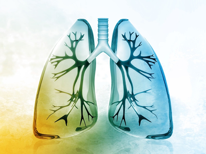 Illustration of a pair of lungs